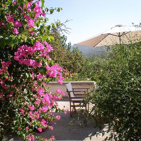 Villa Ouranos 키사모스 외부 사진