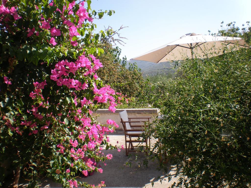Villa Ouranos 키사모스 외부 사진